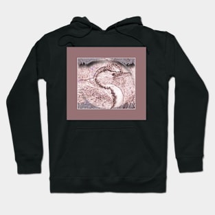 currawong bird Hoodie